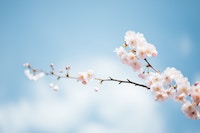 Spring Boot für gewöhnliche Sterbliche
